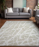 Addison Chantille Machine Washable ACN501 10'x14' Area Rug