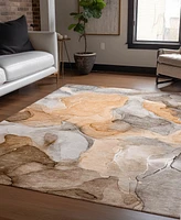 Addison Chantille Machine Washable ACN504 2'6x3'10 Area Rug
