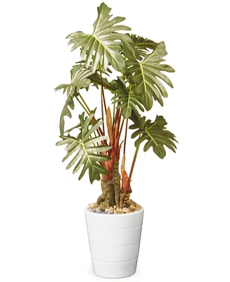National Tree Company 21 Garden Accents Philodendron Flower