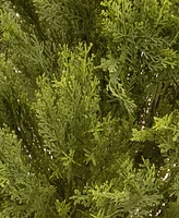 National Tree Company 22 Globe Cedar Tree