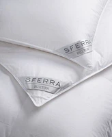 Sferra Buxton 350 Thread Count White Goose Down Comforters