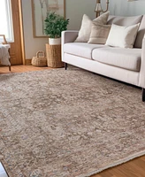 Dalyn Vienna VI6 5'x7'10 Area Rug