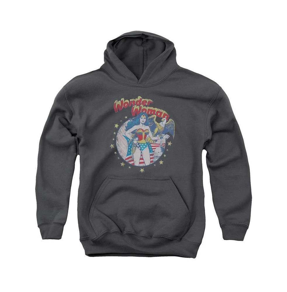 Justice League of America Boys Youth At Your Service Pull Over Hoodie / Hooded Sweatshirt