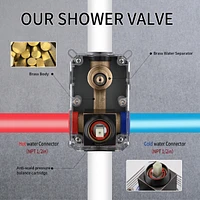 Wall Mounted Shower System with 10" Rainfall Head