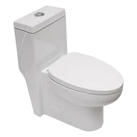 Ceramic One Piece Toilet