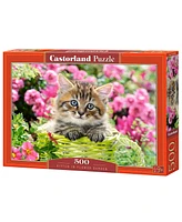 Castorland Kitten in Flower Garden 500 Piece Jigsaw Puzzle