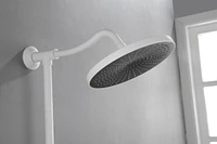 10" Rain Shower System with Hand Shower & Soap Dish