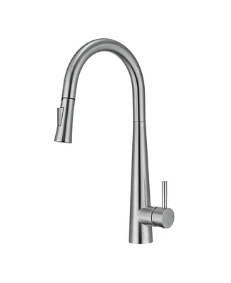 Mondawe Kitchen Sink Faucet with Pull Out Sprayer Fingerprint Resistant,Single Handle Stainless Steel