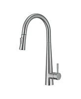 Mondawe Kitchen Sink Faucet with Pull Out Sprayer with Fingerprint Resistant,Single Handle Stainless Steel Steel Kitchen Faucet