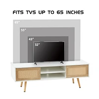 White Rattan Tv Cabinet with Sliding Doors & Adjustable Shelf
