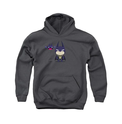 Batman Boys Youth Cute Pull Over Hoodie / Hooded Sweatshirt