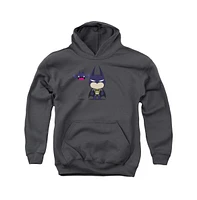 Batman Boys Youth Cute Pull Over Hoodie / Hooded Sweatshirt