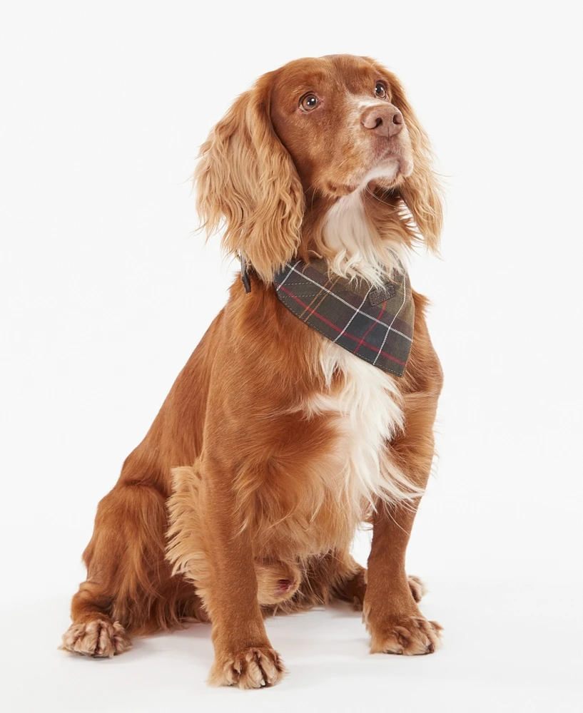 Barbour Tartan Dog Bandana