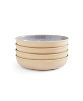 Portmeirion Minerals Low Bowls, Set of 4