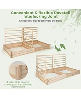 Costway Raised Garden Bed with 3 Trellises with Divided Compartments for Flowers