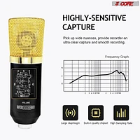 5 Core Recording Microphone Podcast Bundle • Professional Condenser Cardioid Mic Kit • w Boom Arm - Rm 7 Bg