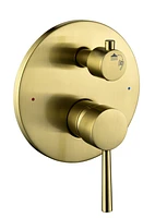 Brushed Gold Wall Mounted Shower System