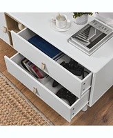 Modern wooden Tv cabinet with storage