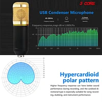 5 Core Recording Microphone Podcast Bundle • Professional Condenser Cardioid Mic Kit • w Boom Arm - Rec Set