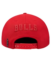 Pro Standard Men's Red Chicago Bulls Triple Tonal Snapback Hat