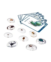 Kaplan Early Learning Specimen Stones: Bugs