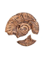 Kaplan Early Learning Magnetic Fossil 3D Puzzle - Ammonite - 6 Pieces