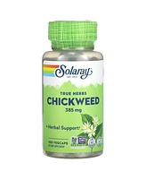 Solaray True Herbs Chickweed 385 mg