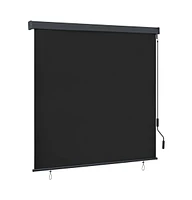 vidaXL Outdoor Roller Blind 66.9"x98.4" Anthracite