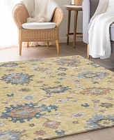Dalyn Hatay Washable HY4 10'x14' Area Rug