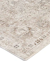 Dalyn Cyprus Cy3 18x26 Area Rug