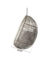 Stylish Hanging Chair Comfort and Relaxation Reimagined