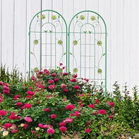 Rustproof 71" Garden Trellis for Climbing Plants