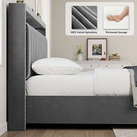 Luxury Gas Lift Storage Bed With Rf Led Lights, Storage Headboard, Queen Size, Velvet Grey