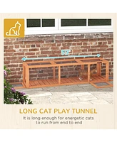 Streamdale Furniture Spacious Feline Paradise Connect and Expand with Cat Window Box & Tunnel