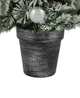 Northlight Pre-Lit Potted Snowy Bristle Pine Artificial Christmas Tree 3'