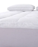 Royal Velvet 5" Feather Bed with Cotton Cover