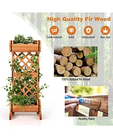 2-Tier Wooden Raised Garden Bed with Trellis