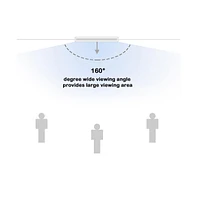 Yescom 100" Portable Detachable Projector Screen with Stand Movie Projection 16:9 Hd 1.1 Gain