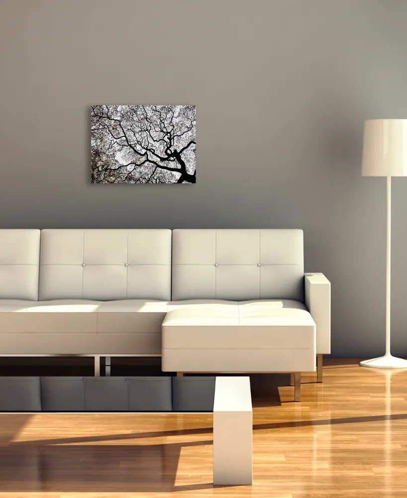 Kurt Shaffer 'Japanese Maple Spring Abstract Ii' Canvas Art