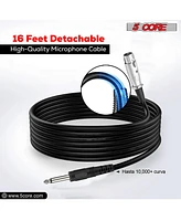 5 Core Microphone Xlr Dynamic Karaoke Singing Handheld Microfono Professional Vocal Dj Music Mic