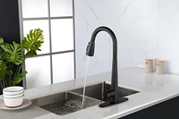 Streamdale Furniture Kitchen Faucets With Pull Down Sprayer, Kitchen Sink Faucet With Pull Out Sprayer