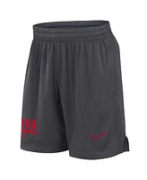 Nike Men's Anthracite Arizona Wildcats 2024 Sideline Mesh Shorts