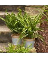 Slickblue Set of 3 Potted Ferns - 14.5 Inches High, Lifelike Artificial Plants in Plastic and Tin Pots for Home Decor