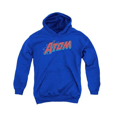 Dc Comics Boys Youth The Atom Pull Over Hoodie / Hooded Sweatshirt