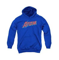 Dc Comics Boys Youth The Atom Pull Over Hoodie / Hooded Sweatshirt