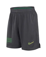 Nike Men's Anthracite Oregon Ducks 2024 Sideline Mesh Shorts