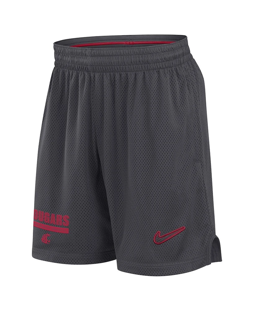 Nike Men's Anthracite Washington State Cougars 2024 Sideline Mesh Shorts