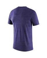 Nike Men's Purple Tcu Horned Frogs 2024 Sideline Velocity Legend Performance T-Shirt