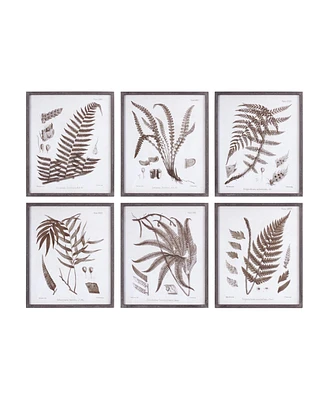 Slickblue Framed Fern Print (Set of 6)