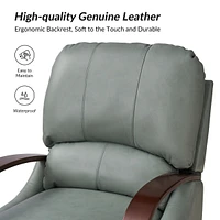 Alex Genuine Leather Manual Recliner